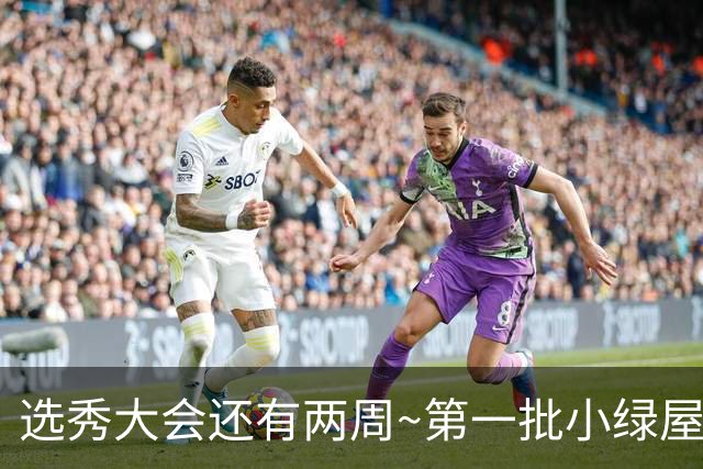 选秀大会还有两周~第一批小绿屋：共14人 迪班萨领衔 4大天王在列